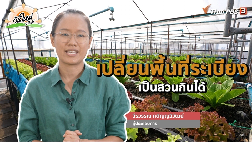 พอดีพอเพียง : เปลี่ยนพื้นที่ระเบียง เป็นสวนกินได้