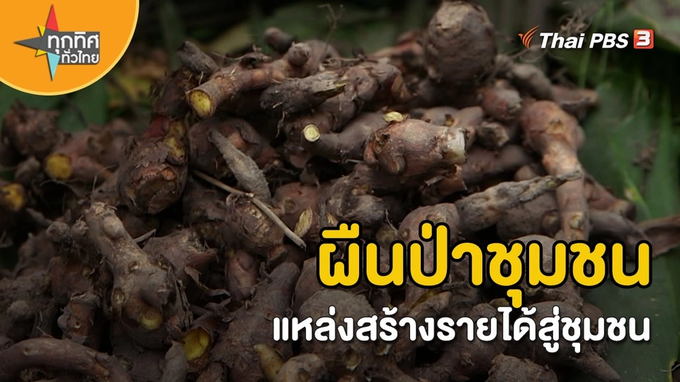 ​วิถีทั่วไทย : ผืนป่าชุมชนแหล่งสร้างรายได้สู่ชุมชน