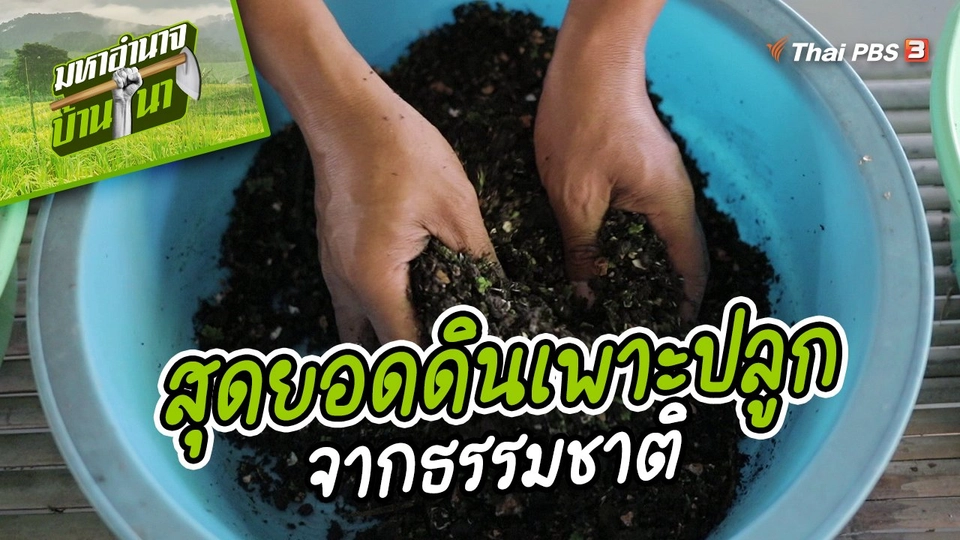สูตรลับฉบับบ้านนา : สุดยอดดินเพาะปลูกจากธรรมชาติ