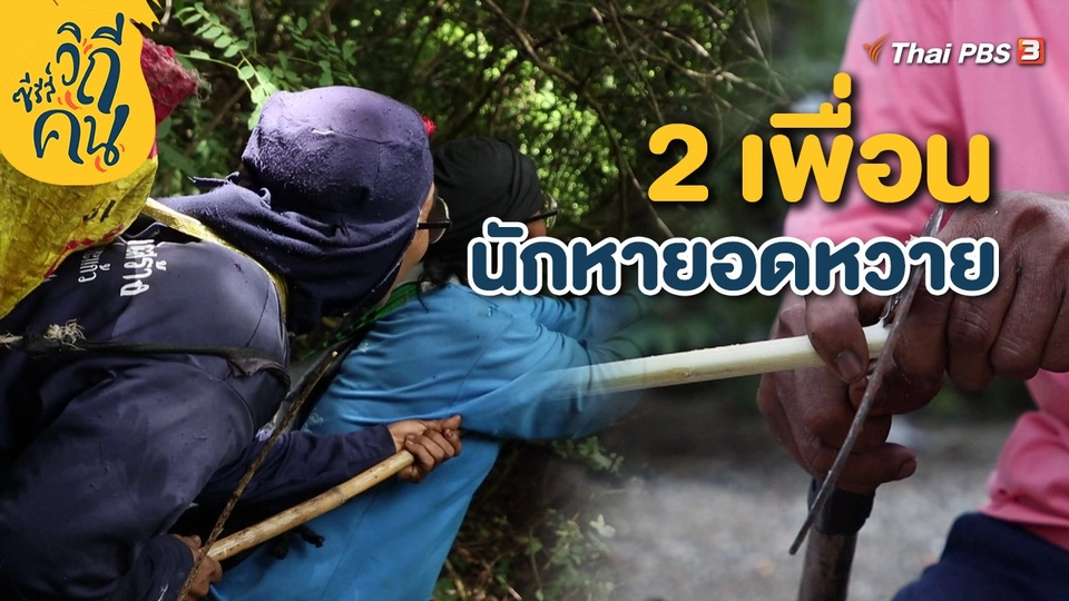 ​2 เพื่อนนักหายอดหวาย