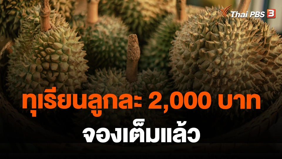 ทุเรียนลูกละ 2,000 บาทจองเต็มแล้ว