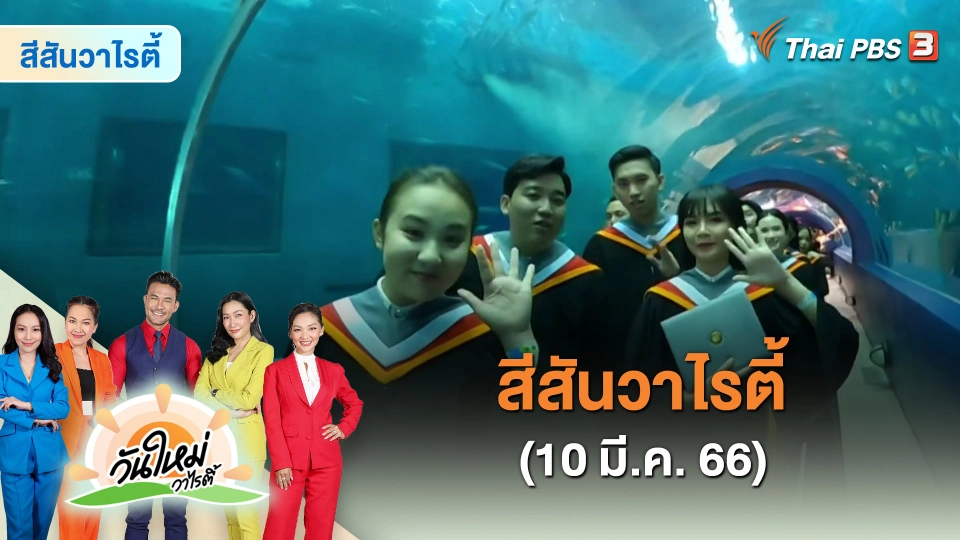 สีสันวาไรตี้