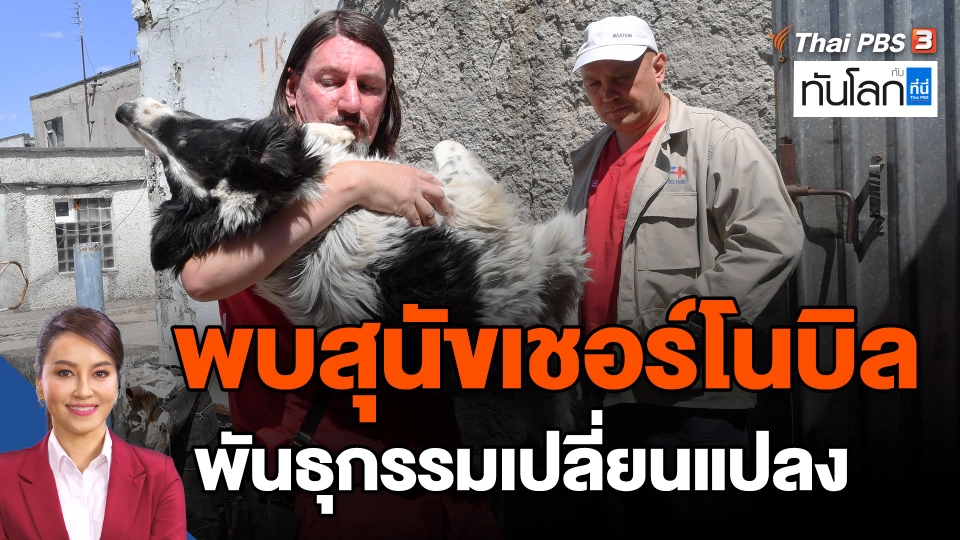 ​พบสุนัขเชอร์โนบิล พันธุกรรมเปลี่ยนแปลง