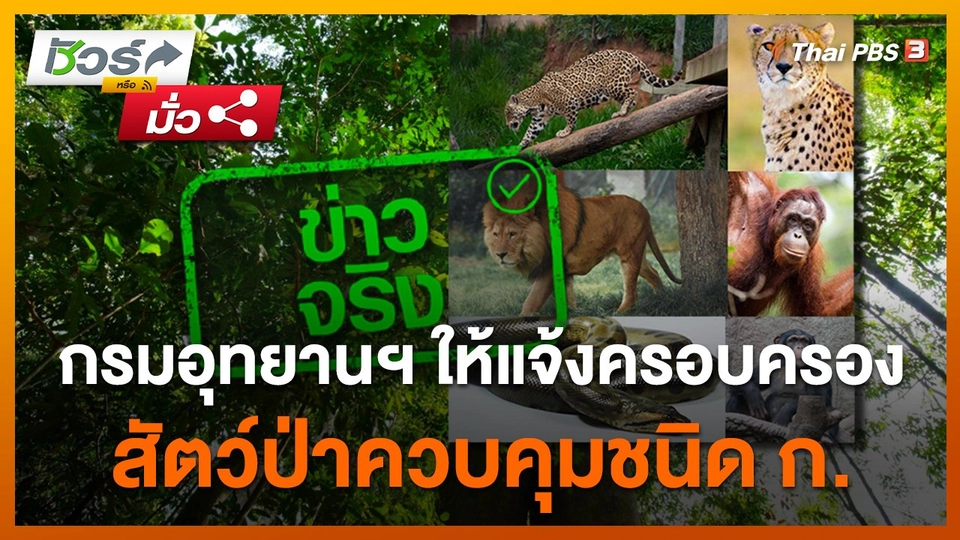 กรมอุทยานฯ ให้แจ้งครอบครองสัตว์ป่าควบคุมชนิด ก. ภายใน 16 มี.ค. 66