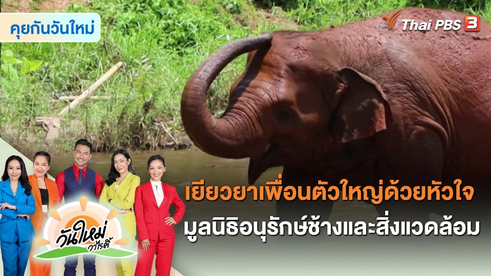 เยียวยาเพื่อนตัวใหญ่ด้วยหัวใจ มูลนิธิอนุรักษ์ช้างและสิ่งแวดล้อม