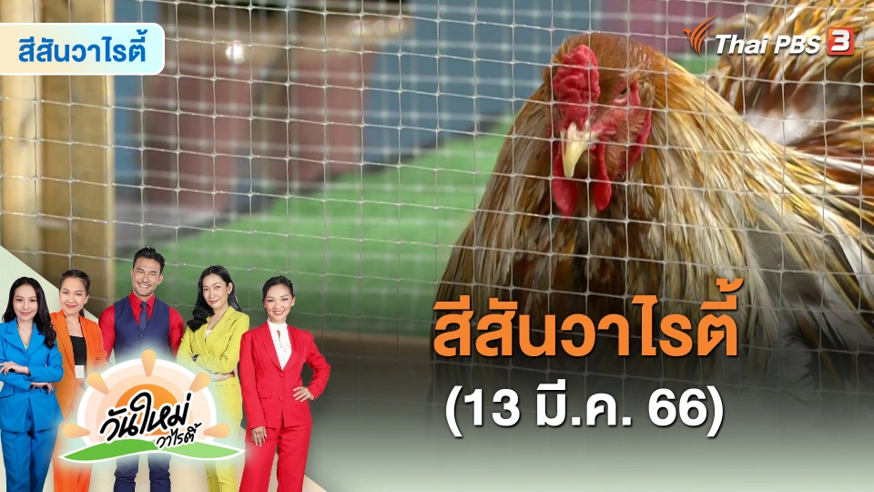 สีสันวาไรตี้