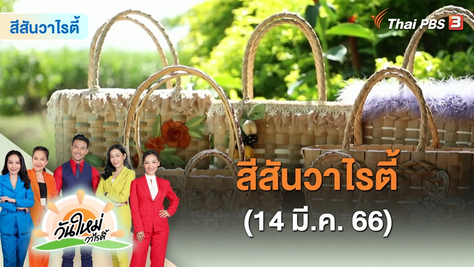 สีสันวาไรตี้