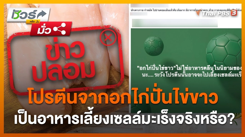 ชัวร์หรือมั่ว : โปรตีนจากอกไก่ปั่นไข่ขาวเป็นอาหารเลี้ยงเซลล์มะเร็งจริงหรือ?