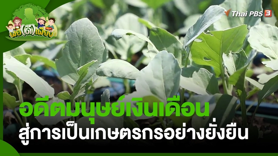 ​พอดีพอเพียง : อดีตมนุษย์เงินเดือน สู่การเป็นเกษตรกรอย่างยั่งยืน