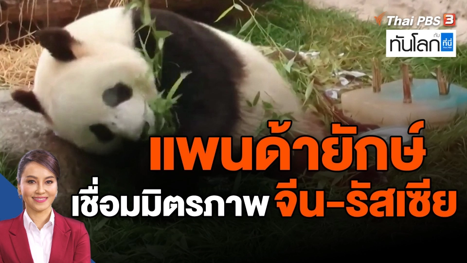 ​แพนด้ายักษ์เชื่อมมิตรภาพจีน-รัสเซีย