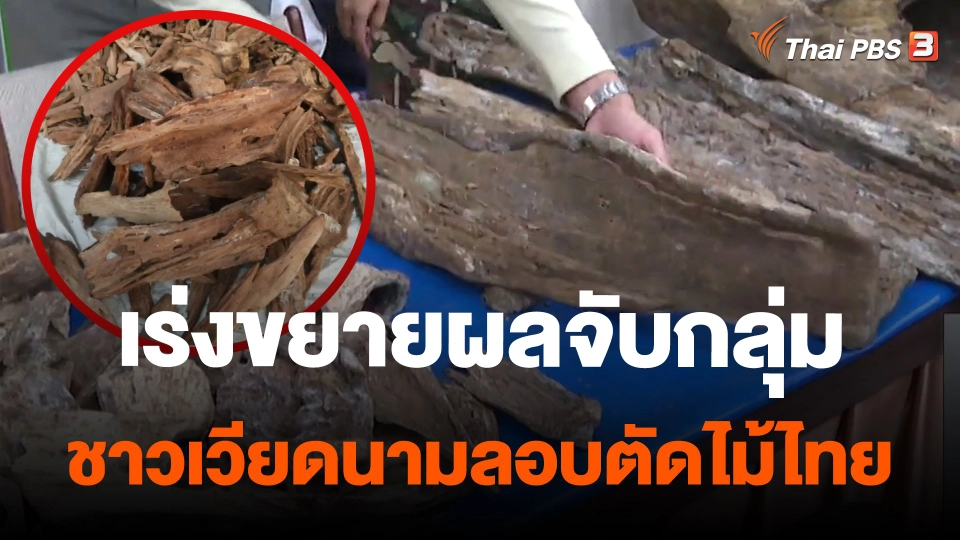 เร่งขยายผลจับกลุ่มชาวเวียดนามลอบตัดไม้ไทย