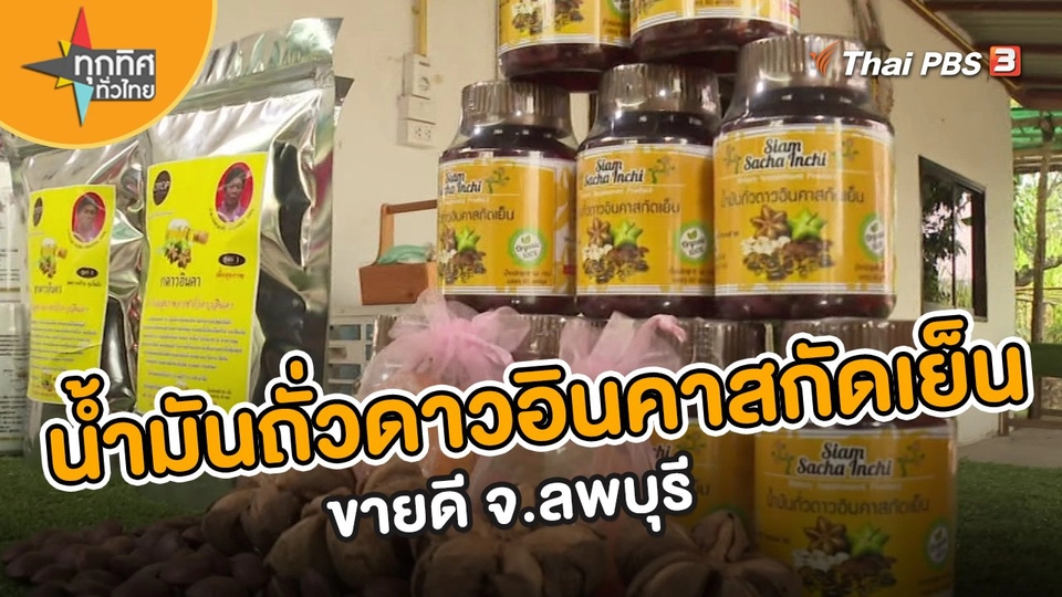 น้ำมันถั่วดาวอินคาสกัดเย็นขายดี จ.ลพบุรี