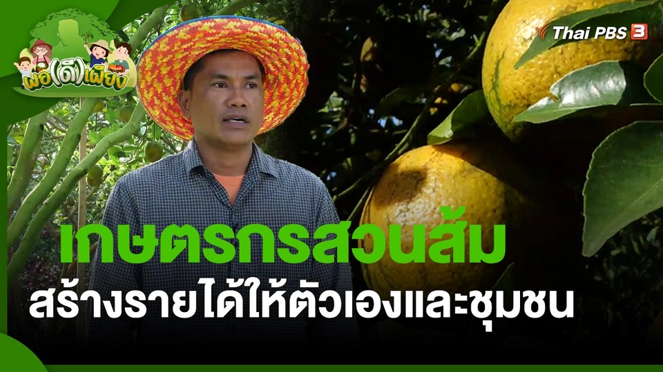 ​พอดีพอเพียง : เกษตรกรสวนส้ม สร้างรายได้ให้ตัวเองและชุมชน