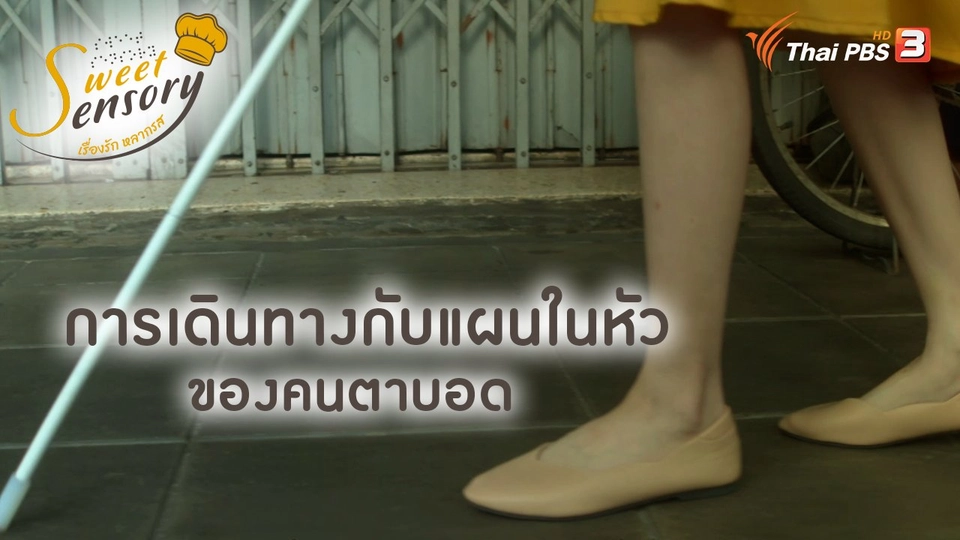 ​การเดินทางกับแผนในหัวของคนตาบอด