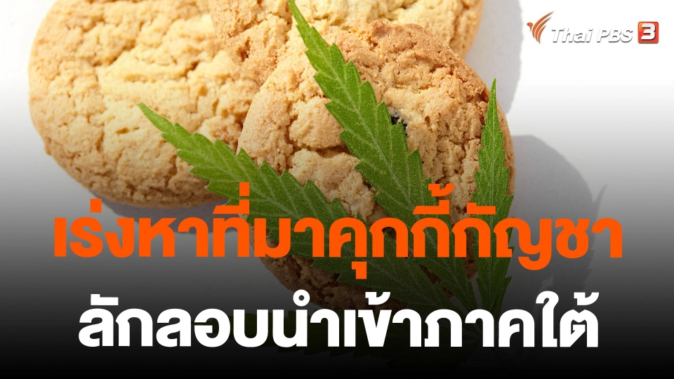 เร่งหาที่มาคุกกี้กัญชา ลักลอบนำเข้าภาคใต้