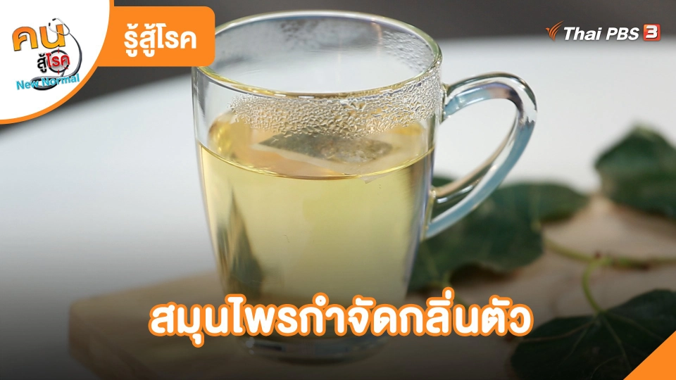 รู้สู้โรค : สมุนไพรกำจัดกลิ่นตัว