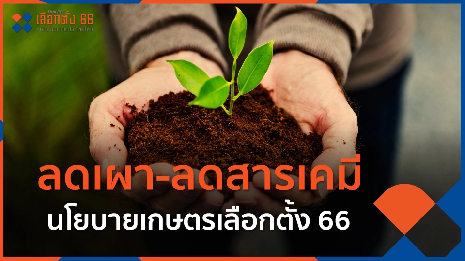 ลดเผา-ลดสารเคมี นโยบายเกษตรเลือกตั้ง 66