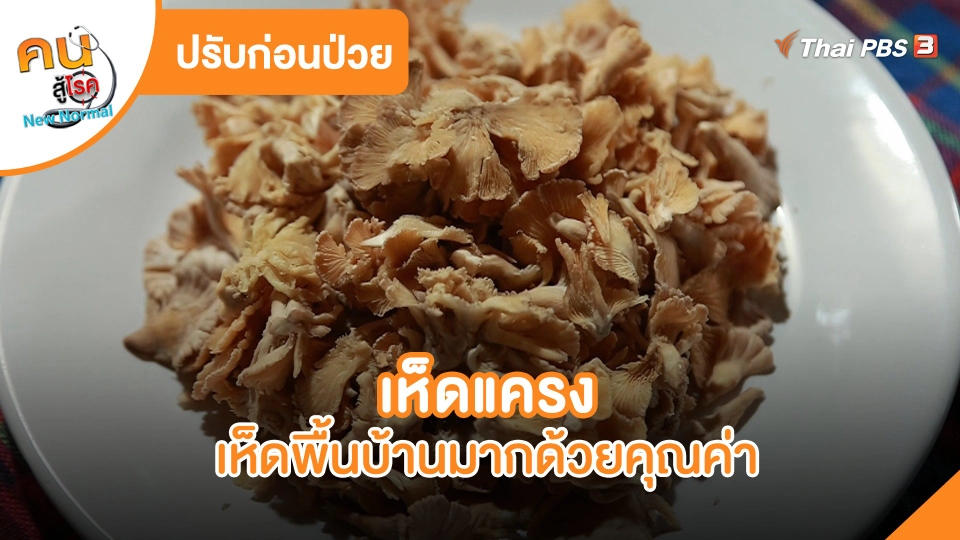 ​ปรับก่อนป่วย : เห็ดแครง เห็ดพื้นบ้านมากด้วยคุณค่า