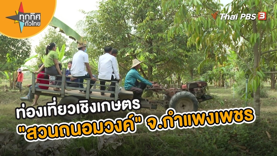 ​อาชีพทั่วไทย : ท่องเที่ยวเชิงเกษตร "สวนถนอมวงค์" จ.กำแพงเพชร