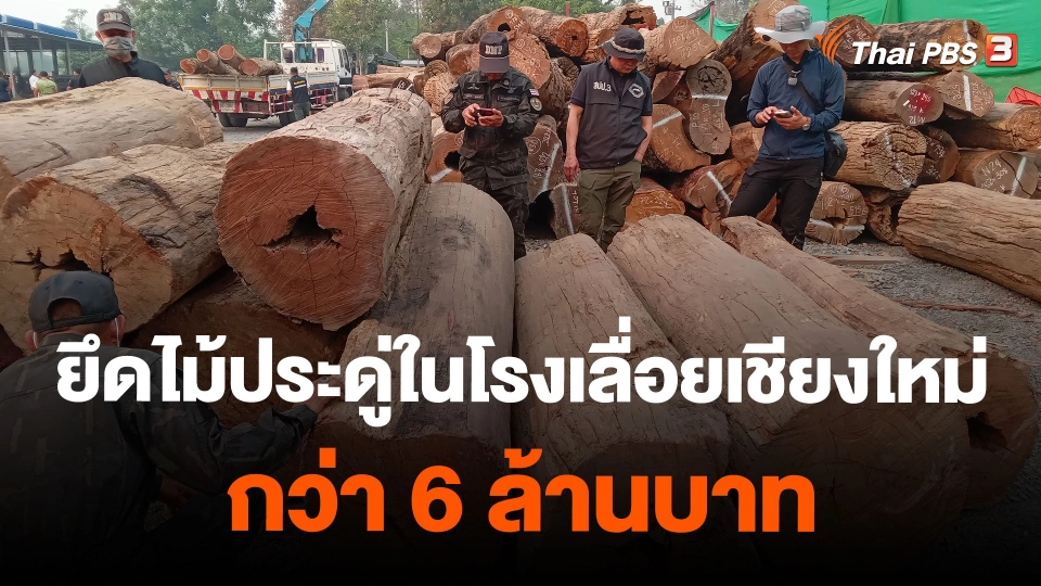 ยึดไม้ประดู่ในโรงเลื่อยเชียงใหม่กว่า 6 ล้านบาท