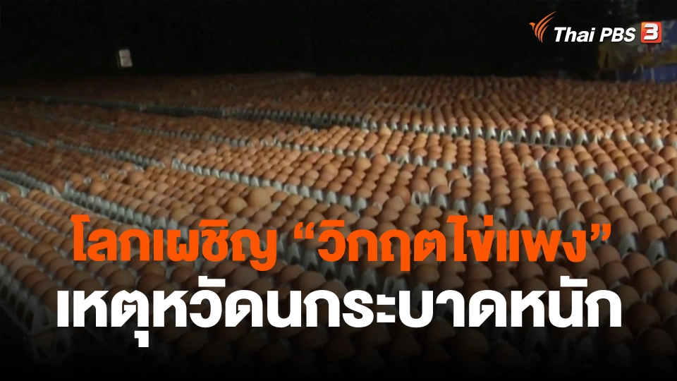 ​วิเคราะห์สถานการณ์ต่างประเทศ : โลกเผชิญ "วิกฤตไข่แพง" เหตุหวัดนกระบาดหนัก