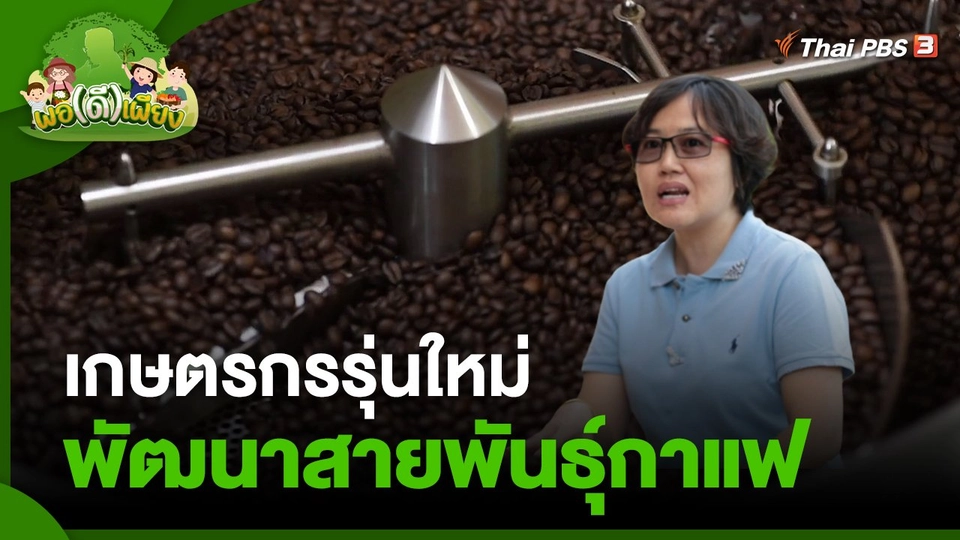 พอดีพอเพียง : เกษตรกรรุ่นใหม่ พัฒนาสายพันธุ์กาแฟ
