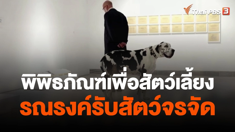 พิพิธภัณฑ์เพื่อสัตว์เลี้ยงรณรงค์รับสัตว์จรจัด