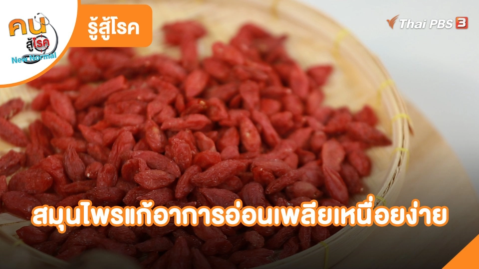 ​รู้สู้โรค: สมุนไพรแก้อาการอ่อนเพลียเหนื่อยง่าย