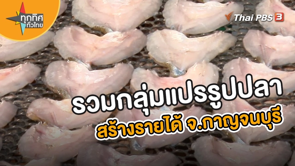 ​รวมกลุ่มแปรรูปปลาสร้างรายได้ จ.กาญจนบุรี