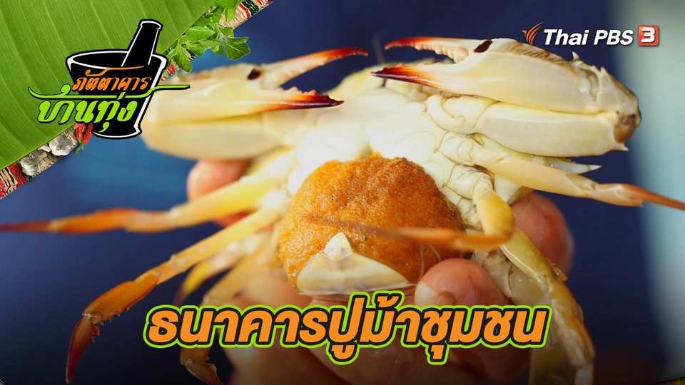 คลิปบ้านทุ่ง : ธนาคารปูม้าชุมชน