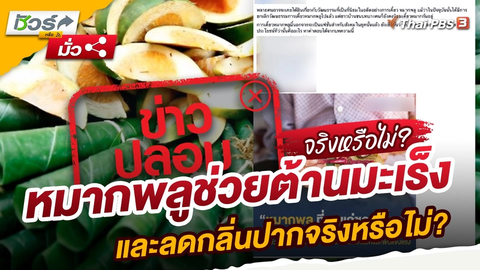 หมากพลูช่วยต้านมะเร็งและลดกลิ่นปากจริงหรือไม่?