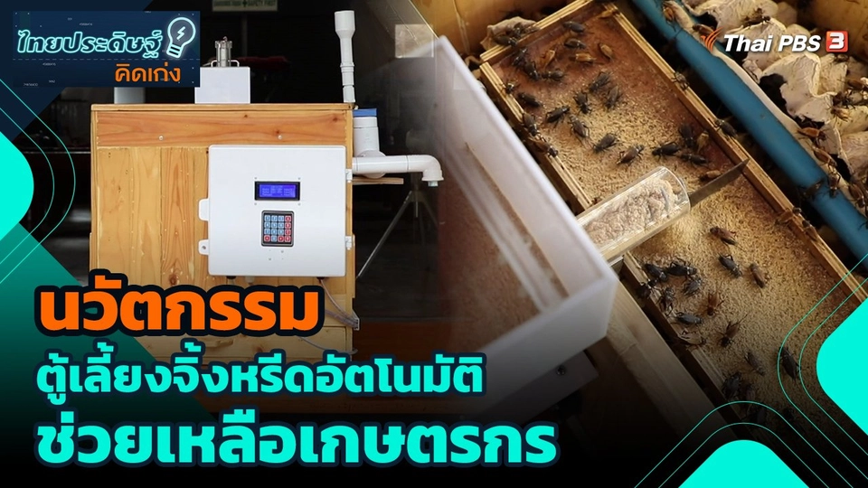 นวัตกรรม ตู้เลี้ยงจิ้งหรีดอัตโนมัติช่วยเหลือเกษตรกร