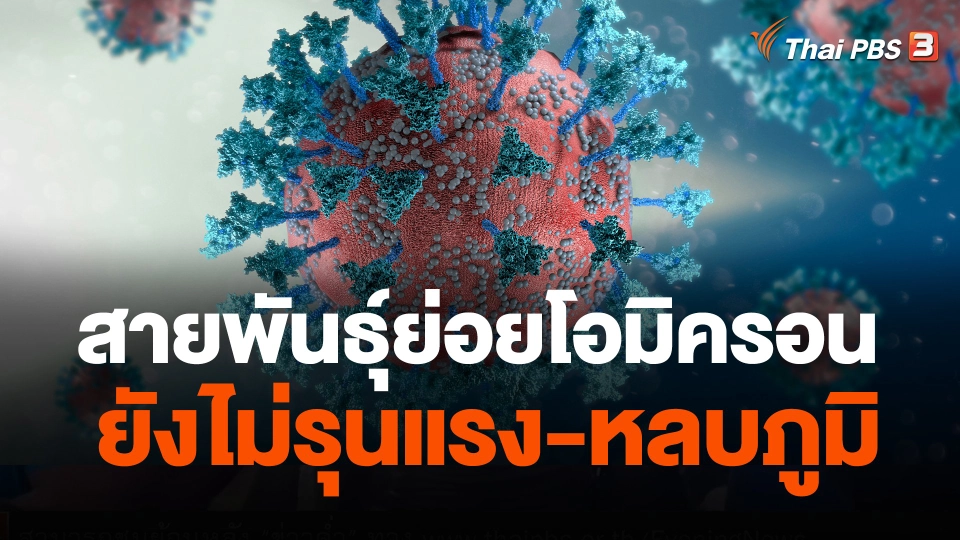 สายพันธุ์ย่อยโอมิครอน ยังไม่รุนแรง-หลบภูมิ