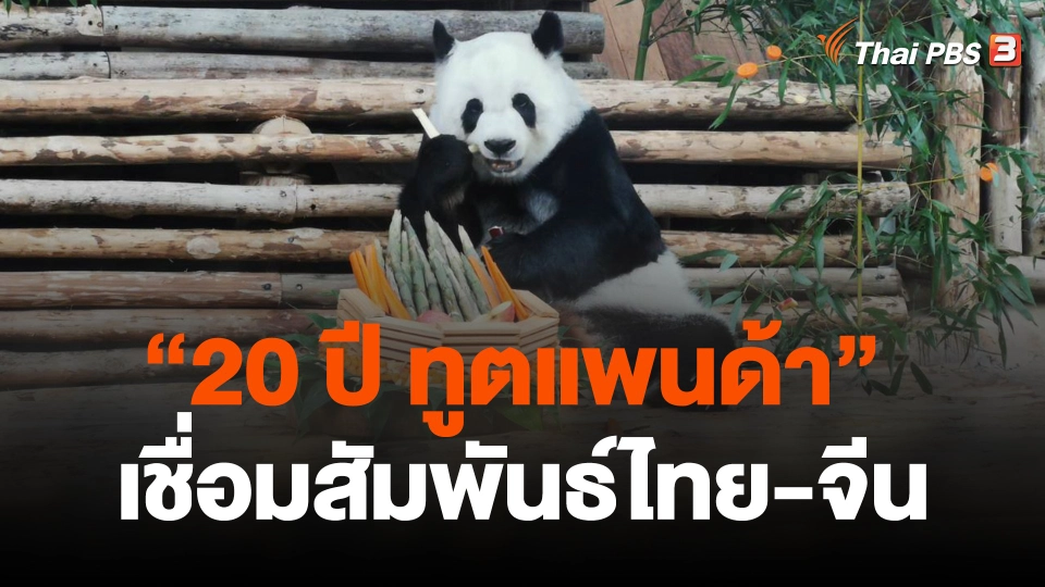 "20 ปี ทูตแพนด้า" เชื่อมสัมพันธ์ ถ่ายทอดเทคโนโลยีไทย-จีน
