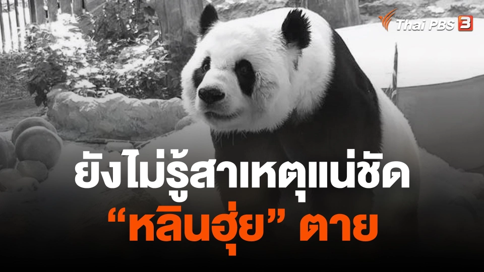 ยังไม่รู้สาเหตุแน่ชัด "หลินฮุ่ย" ตาย