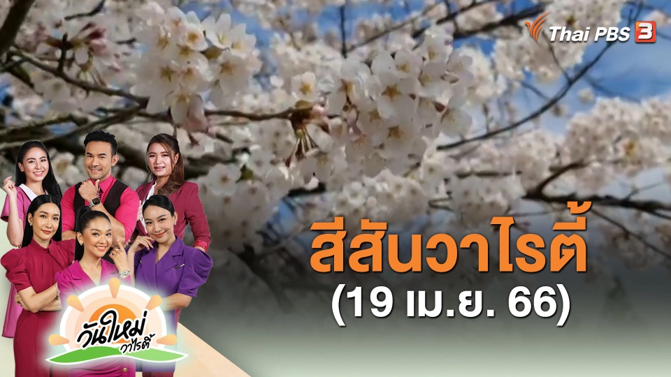 ​สีสันวาไรตี้ (19 เม.ย. 66)