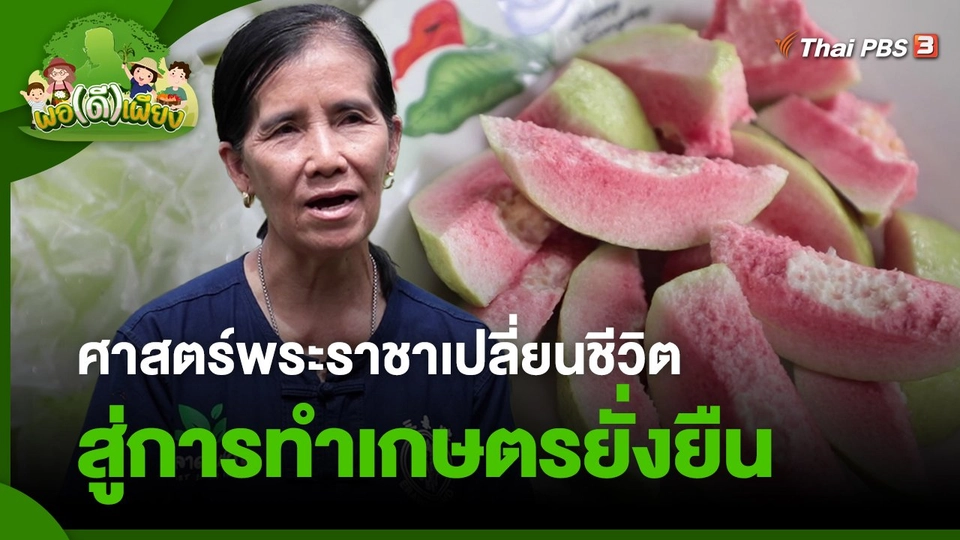 ​พอดีพอเพียง : ศาสตร์พระราชาเปลี่ยนชีวิต สู่การทำเกษตรยั่งยืน