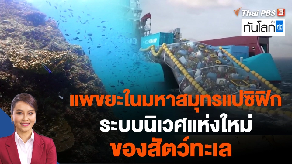 แพขยะในมหาสมุทรแปซิฟิก ระบบนิเวศแห่งใหม่ของสัตว์ทะเล