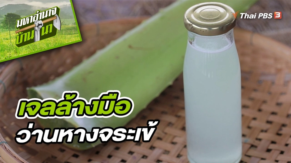 เจลล้างมือว่านหางจระเข้