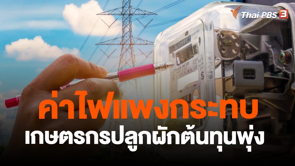​ค่าไฟแพงกระทบเกษตรกรปลูกผักต้นทุนพุ่ง