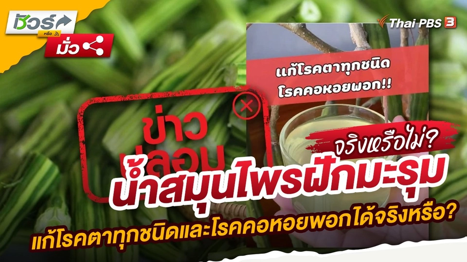 น้ำสมุนไพรฝักมะรุมแก้โรคตาทุกชนิดและโรคคอหอยพอกได้จริงหรือ?