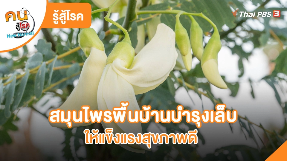 ​รู้สู้โรค: สมุนไพรพื้นบ้านบำรุงเล็บให้แข็งแรงสุขภาพดี