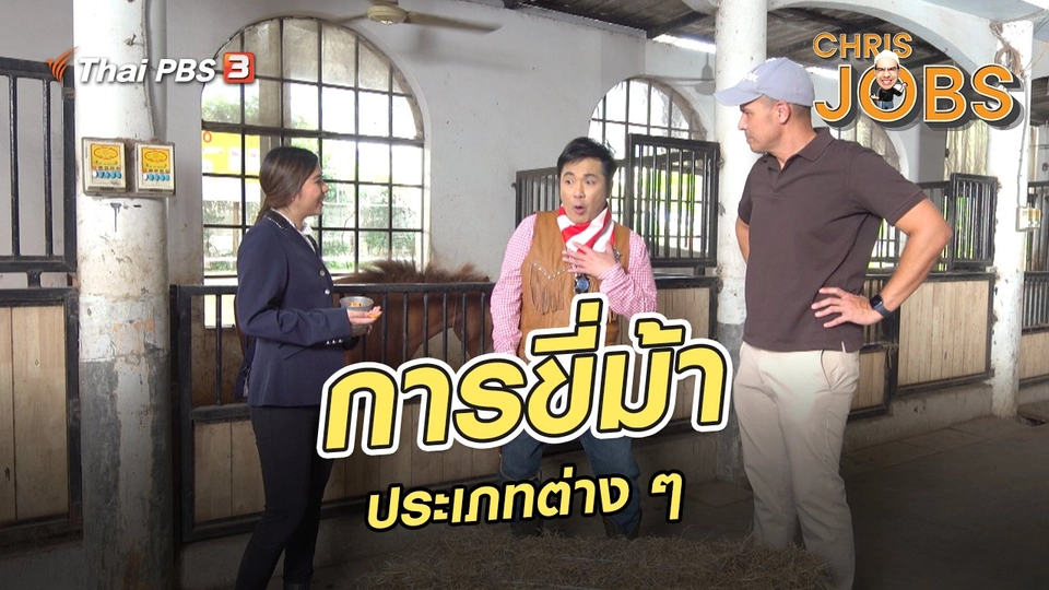 สาระน่ารู้จาก Chris Jobs : การขี่ม้าประเภทต่าง ๆ