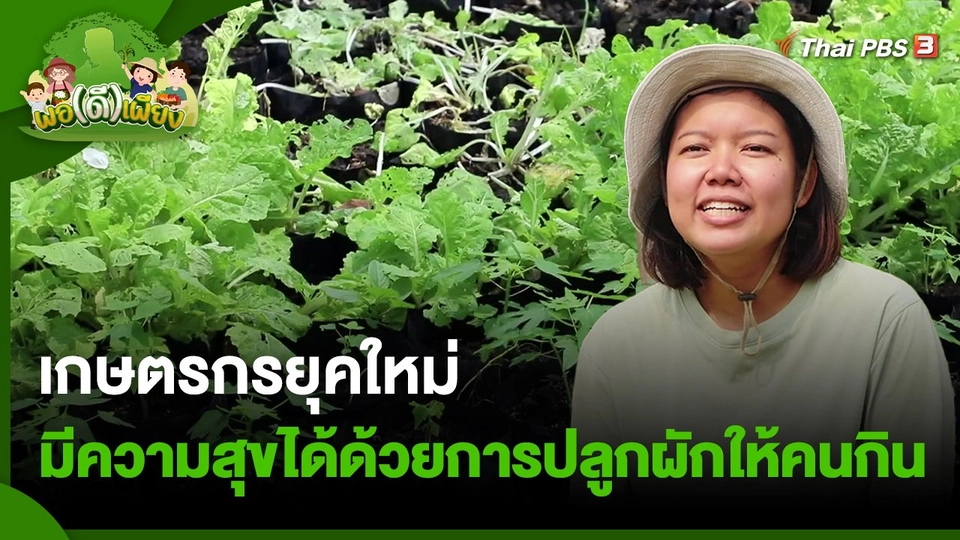 เกษตรกรยุคใหม่ มีความสุขได้ด้วยการปลูกผักให้คนกิน