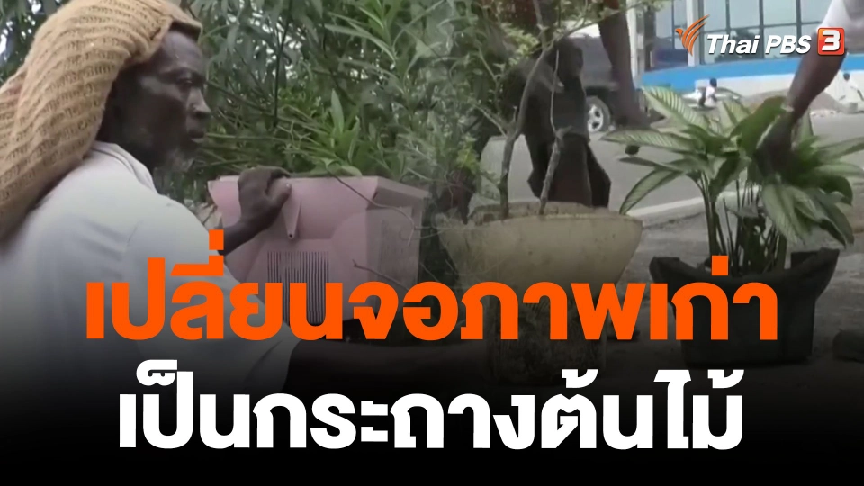 เปลี่ยนจอภาพเก่าเป็นกระถางต้นไม้