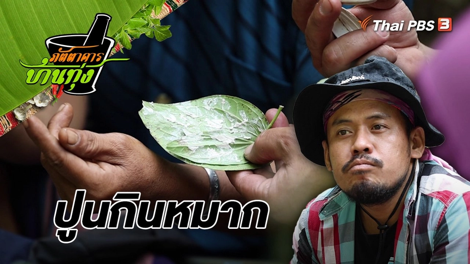 ​คลิปบ้านทุ่ง : ปูนกินหมาก