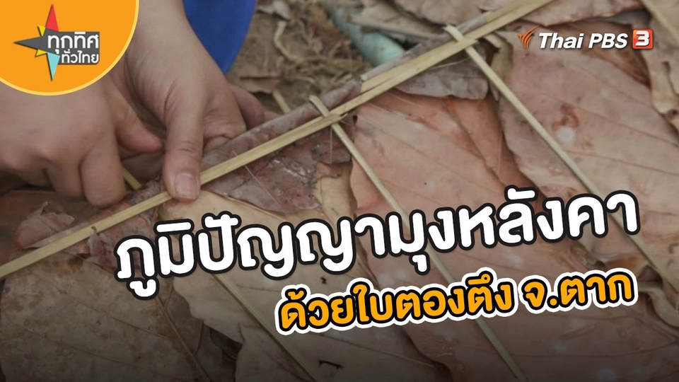 ​อาชีพทั่วไทย : ภูมิปัญญามุงหลังคาด้วยใบตองตึง จ.ตาก