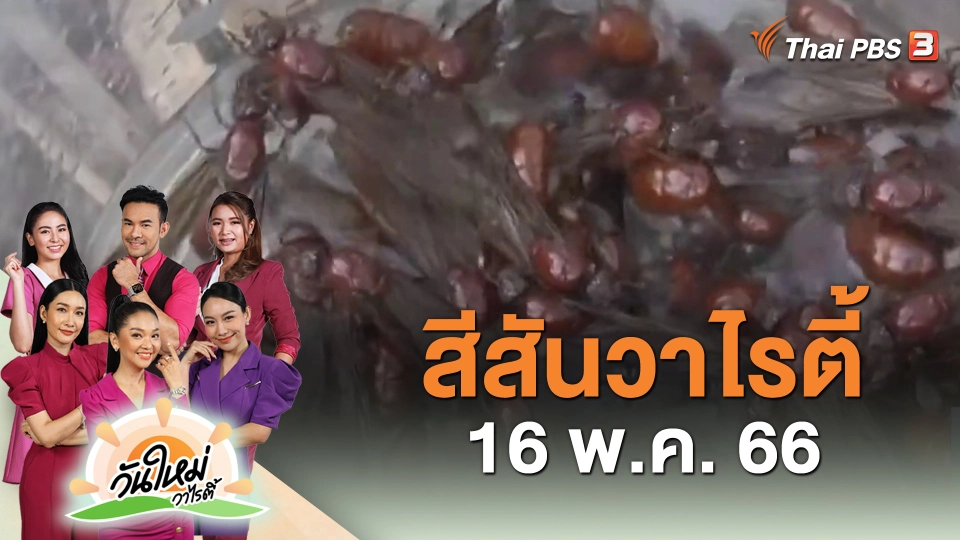 สีสันวาไรตี้ (16 พ.ค. 66)