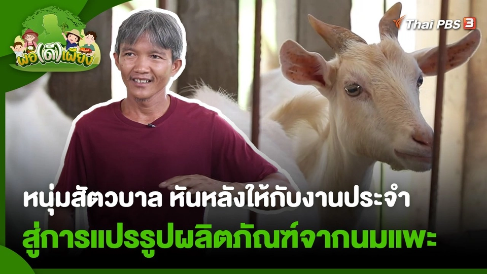 ​พอดีพอเพียง : หนุ่มสัตวบาล หันหลังให้กับงานประจำ สู่การแปรรูปผลิตภัณฑ์จากนมแพะ