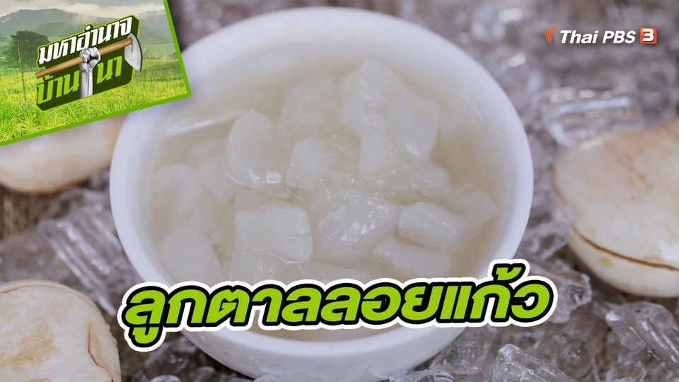 สูตรลับฉบับบ้านนา : ลูกตาลลอยแก้ว